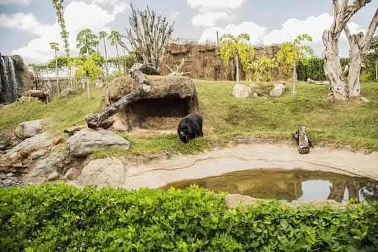Bioparque Ukumarí, PEREIRA, RISARALDA