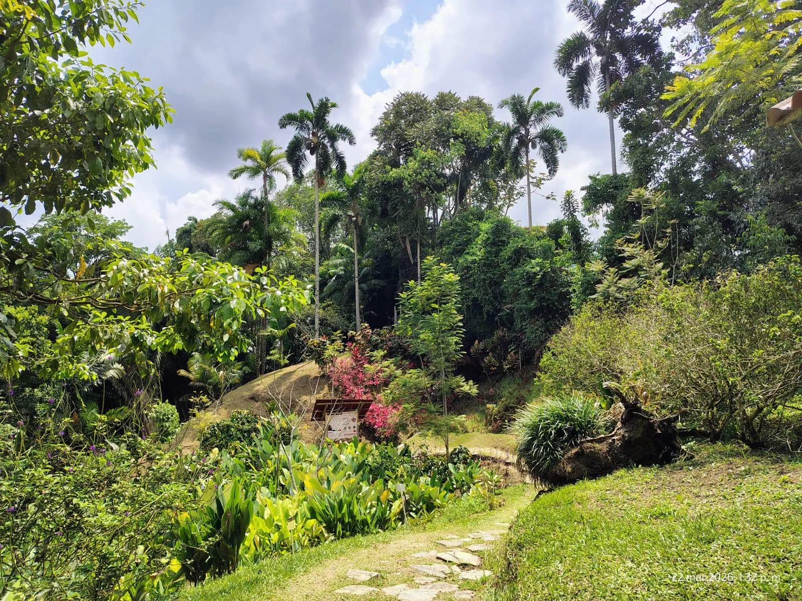 Jardín Botánico San Jorge, IBAGUÉ, TOLIMA
